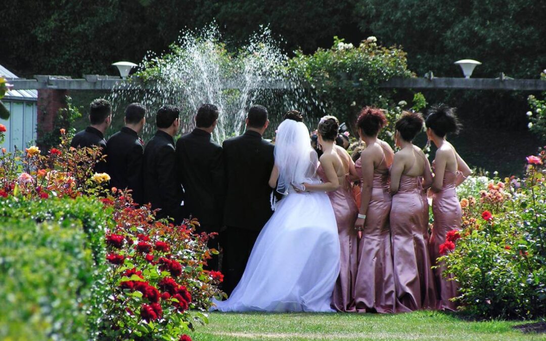 cybersecurity wedding success - View from behind of a large wedding party outside in a garden by a fountain while a photo is being taken.